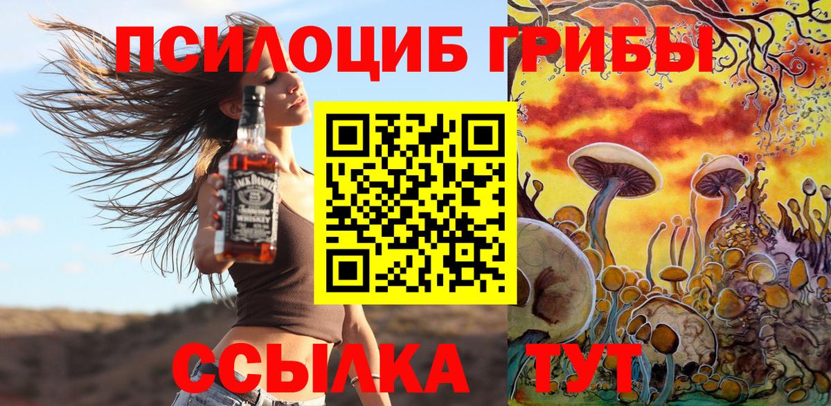 Галлюциногенные грибы прущие грибы  наркотики  Протвино  Вход с VPN 